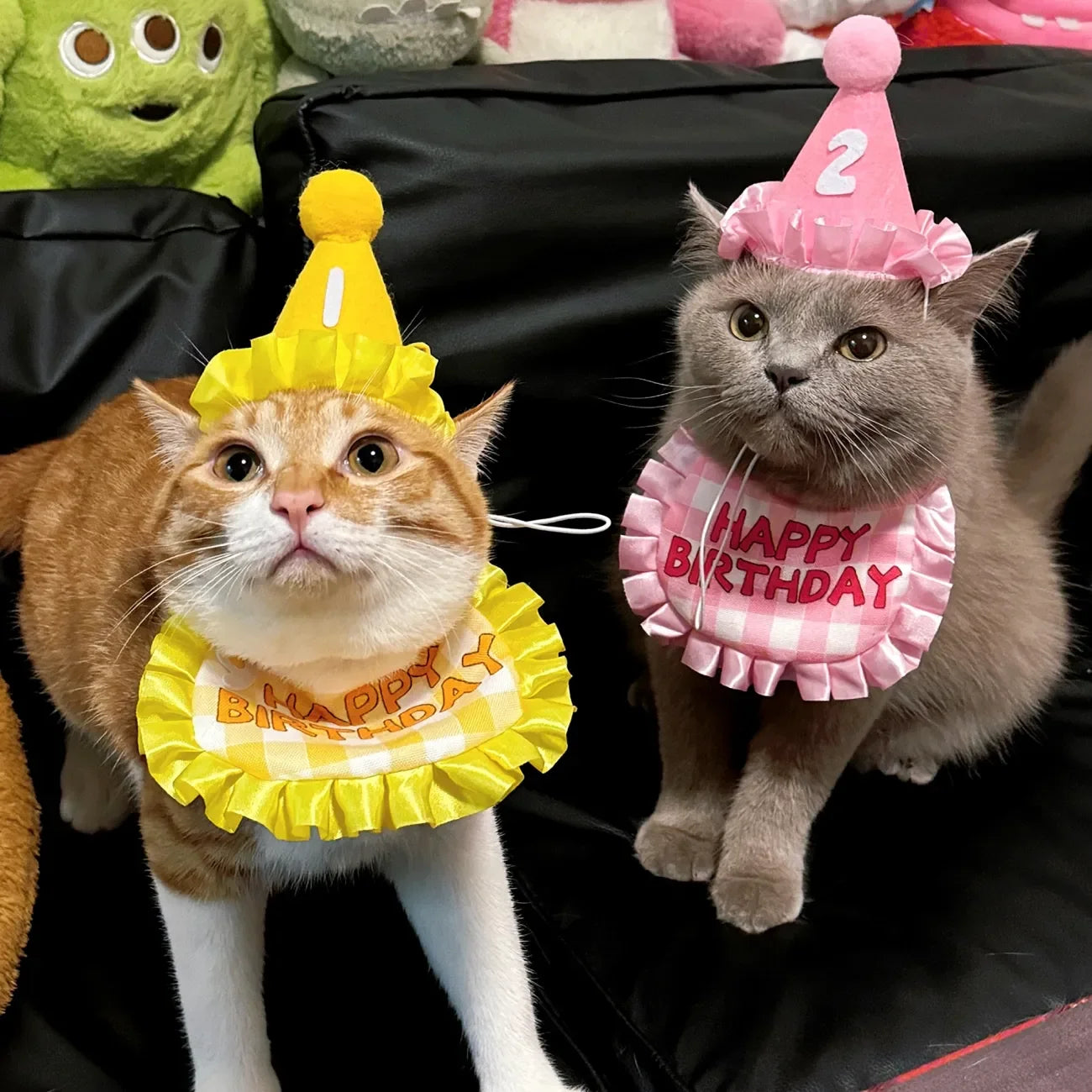 Cat Birthday Scarf and Hat Set