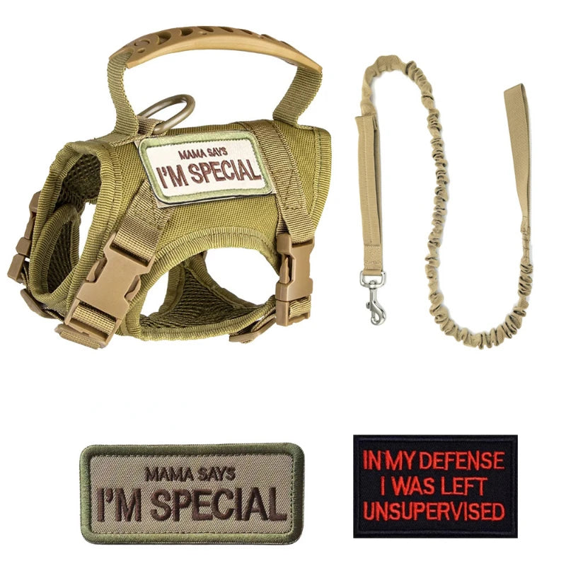 Tactical Dog Harness & Leash Set