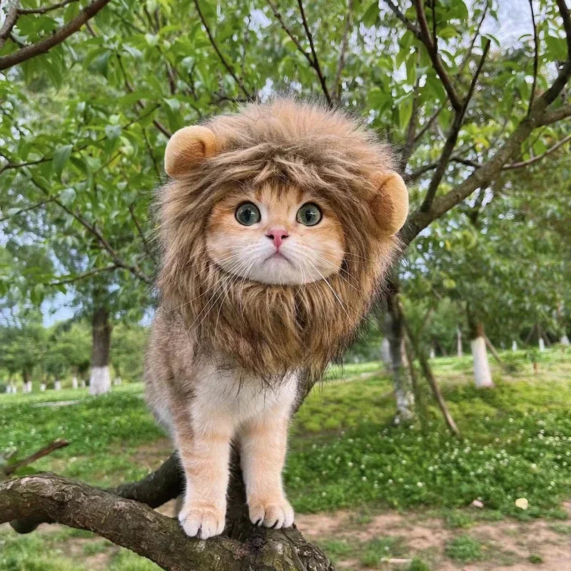Cute Cat Wig with Lion Mane Ears