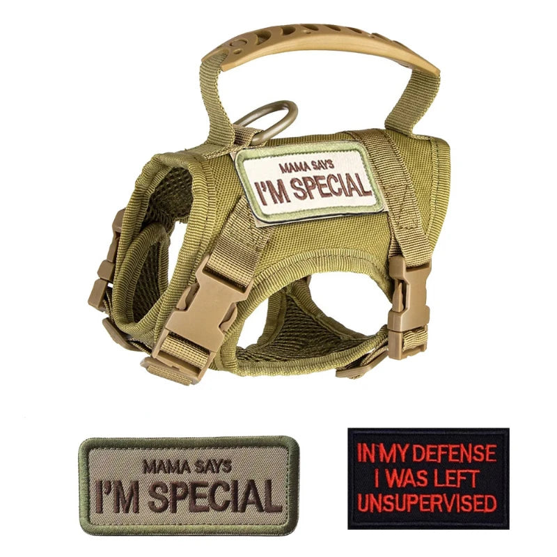 Tactical Dog Harness & Leash Set
