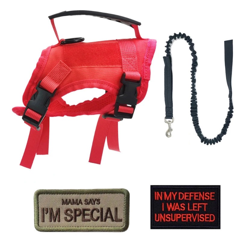 Tactical Dog Harness & Leash Set