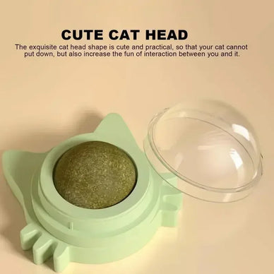 Transform Your Cat's Playtime Experience