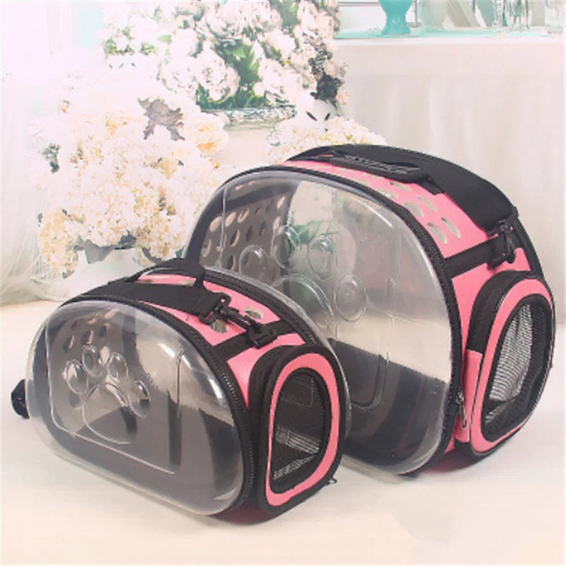 Transparent Cat Travel Backpack