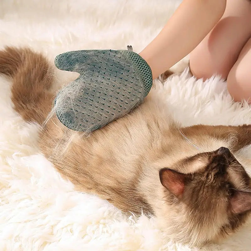 Pet Hair Remover Grooming Glove