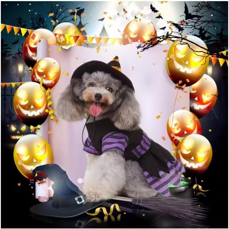 Pet Witch Costume