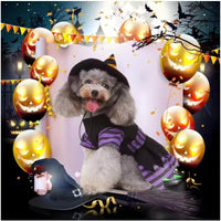 Pet Witch Costume