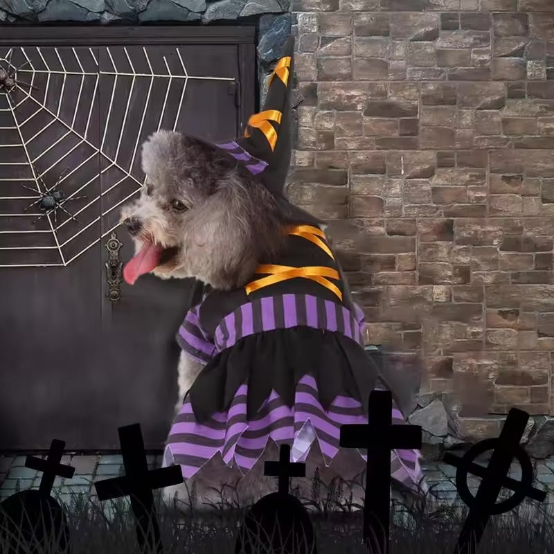 Pet Witch Costume