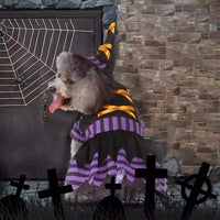 Pet Witch Costume