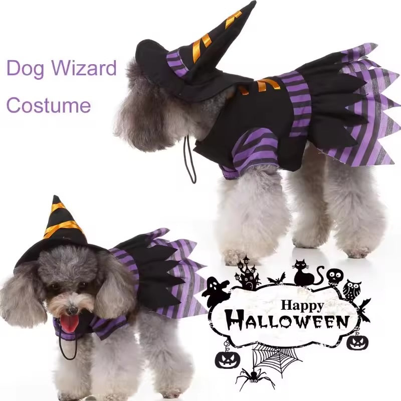 Pet Witch Costume