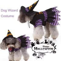 Pet Witch Costume