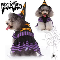 Pet Witch Costume
