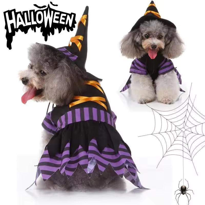 Pet Witch Costume
