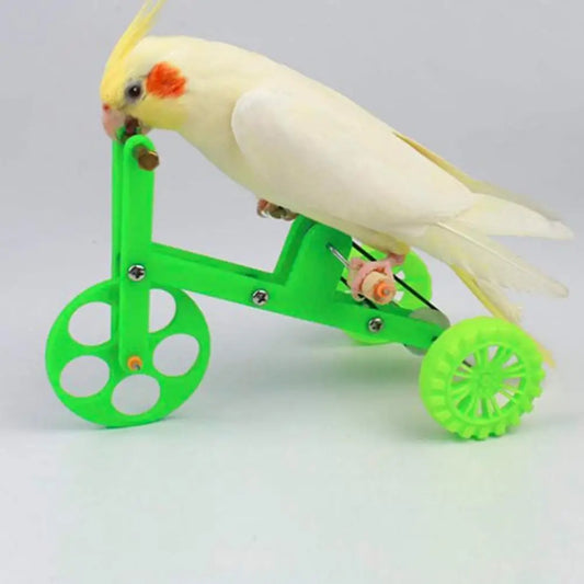 Bird Bicycle Training Toy (Colorful Parrot Toy)