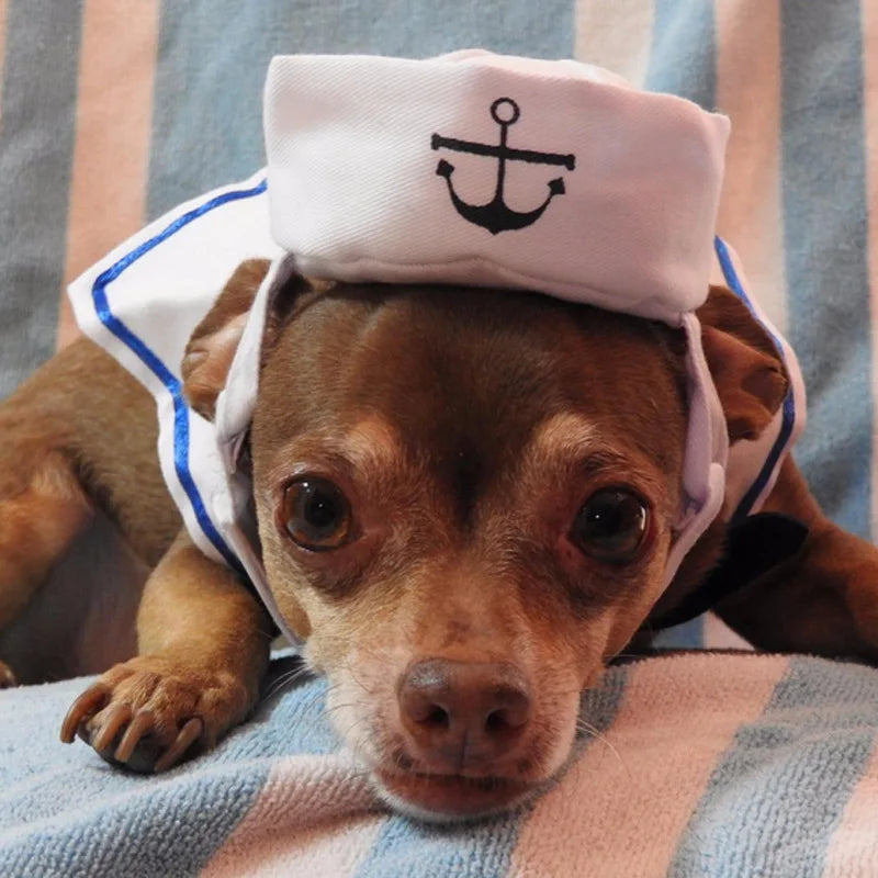 Navy Sailor Costume for Pets