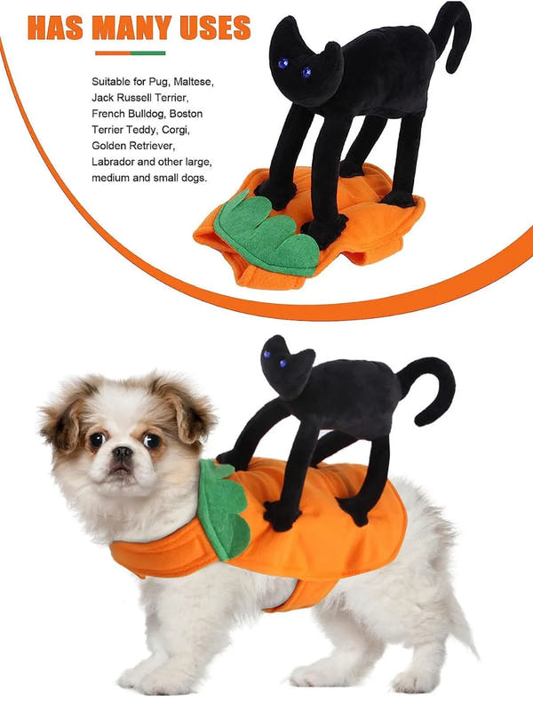 Pet Pumpkin & Black Cat Dress Costume