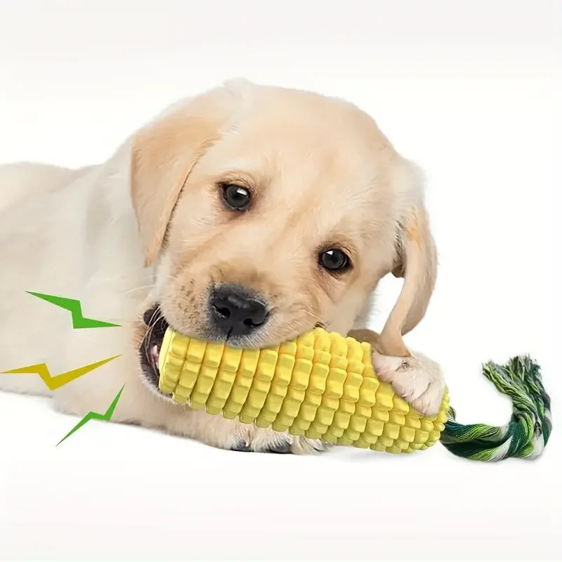 Durable Squeaky Dog Chew Toy