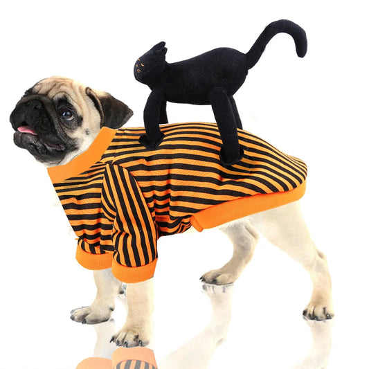 Cross-Dressing Pet Costume (All Saints Edition)