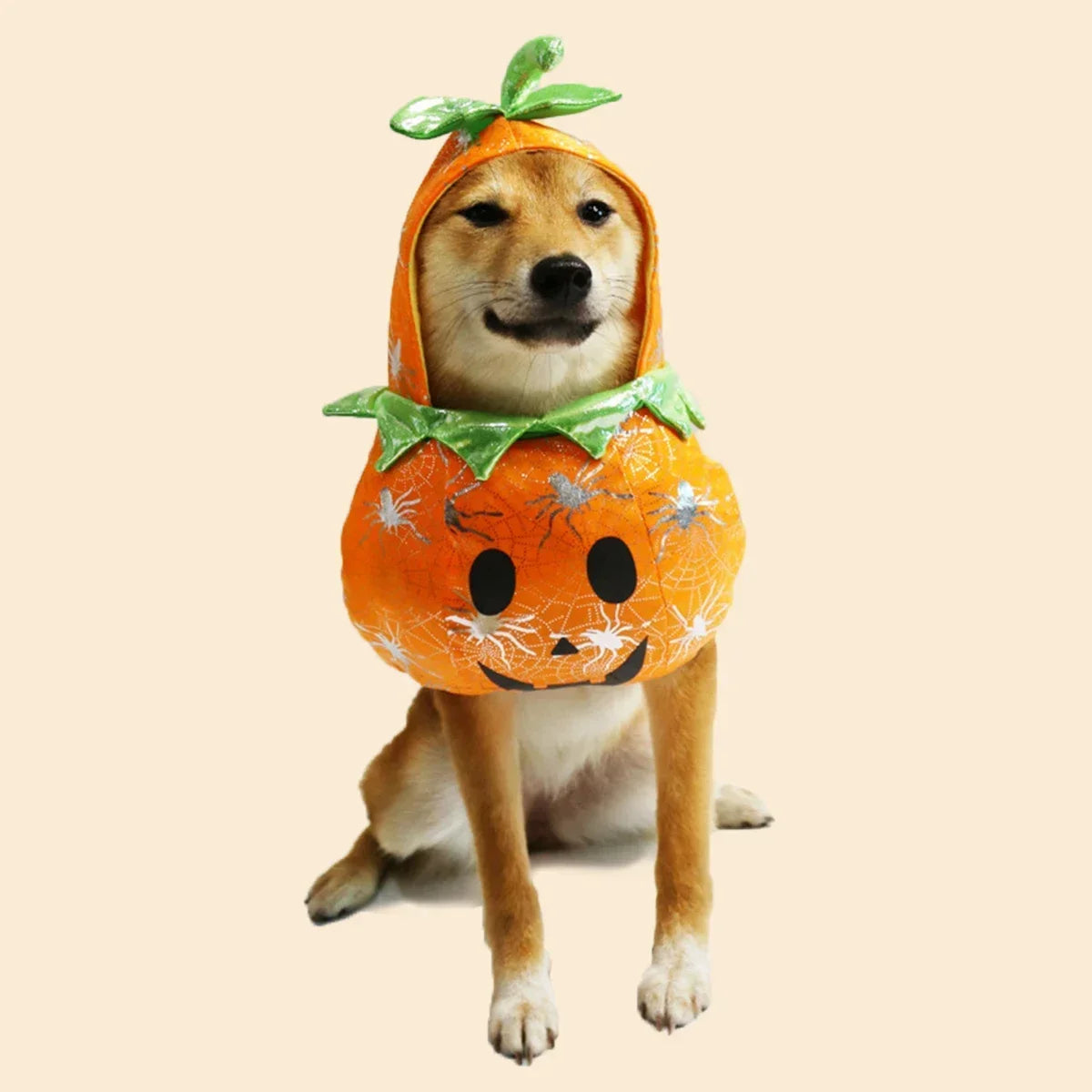 Pet Halloween Pumpkin