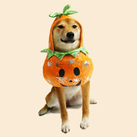 Pet Halloween Pumpkin
