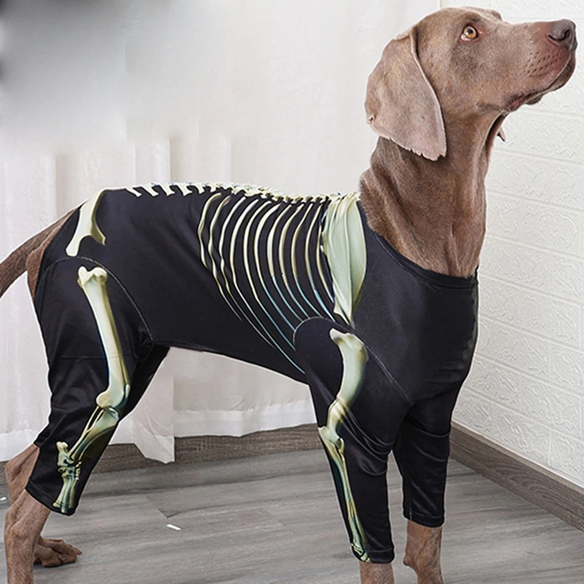 Skeleton Dog Halloween Costume