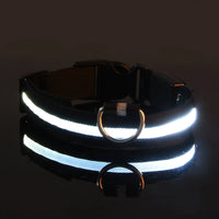LED Night Safety Dog Leash and Collar