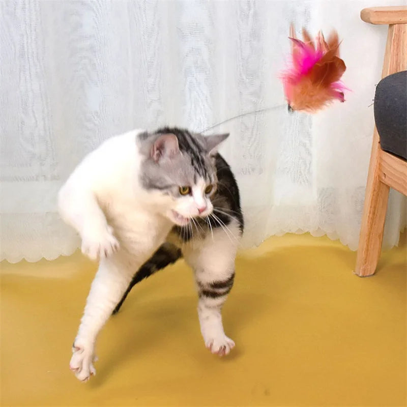 Feather Teaser Wand Cat Toy