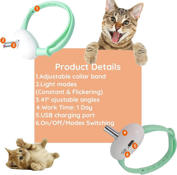 Laser Pointer Collar for Cats