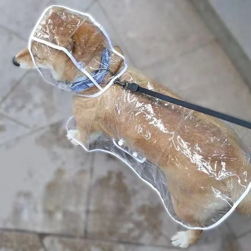 Transparent Dog Raincoat