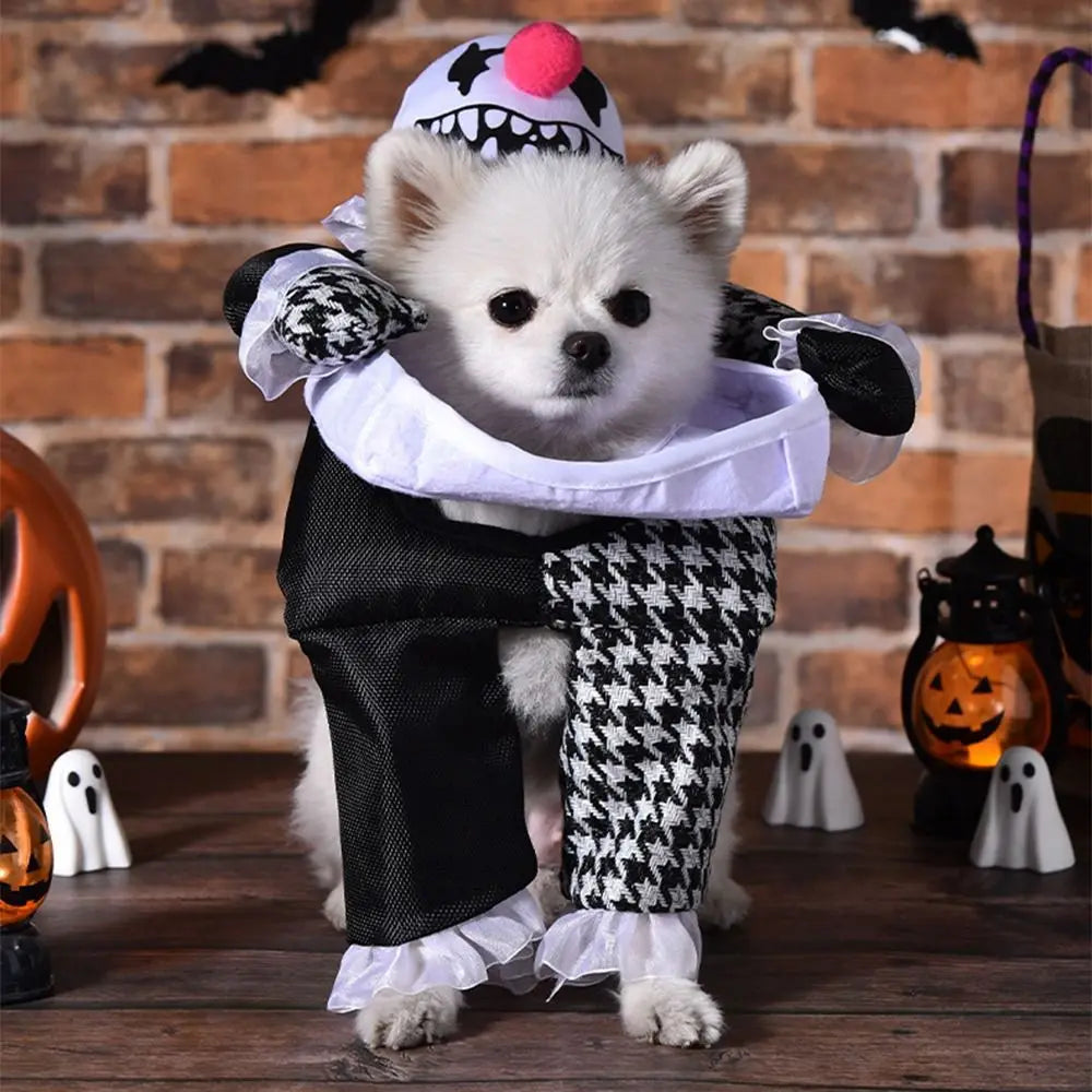 Creative Puppy Halloween Coat