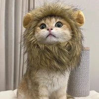 Cute Cat Wig with Lion Mane Ears