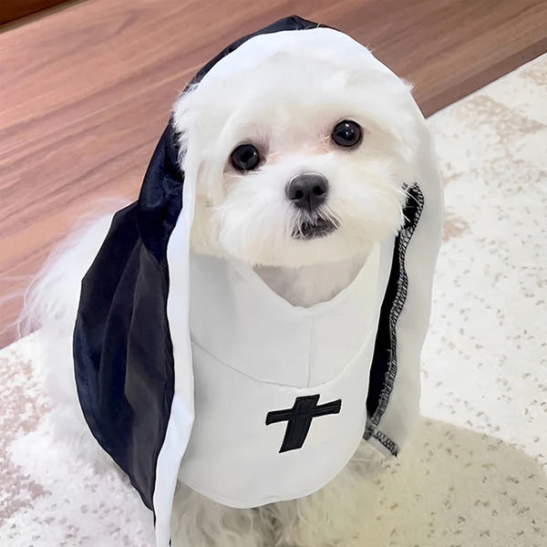 Funny Pet Nun Costume