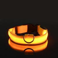 LED Night Safety Dog Leash and Collar