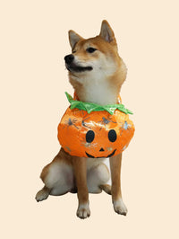 Pet Halloween Pumpkin