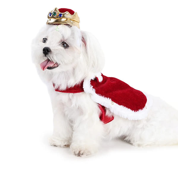 Pet Couple Costume Set (Crowns & Capes Edition)