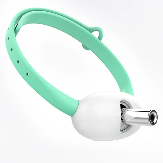 Laser Pointer Collar for Cats
