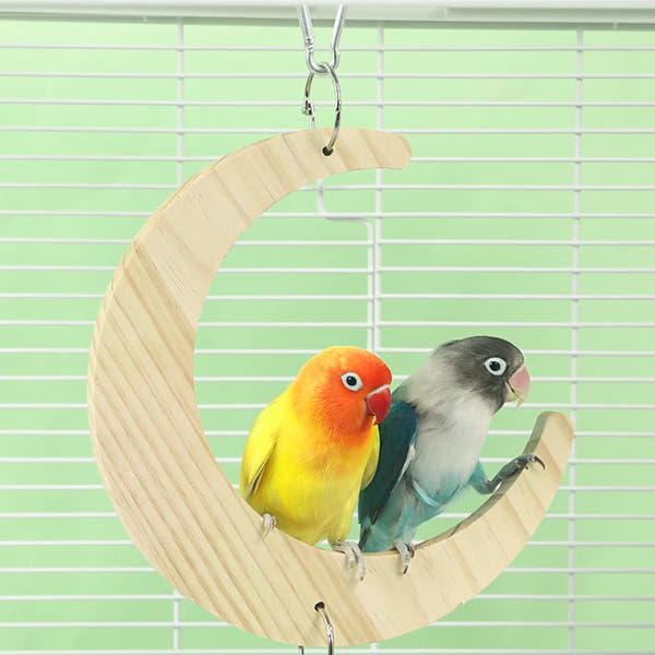 Bird Mirror Toy with Wooden Perch