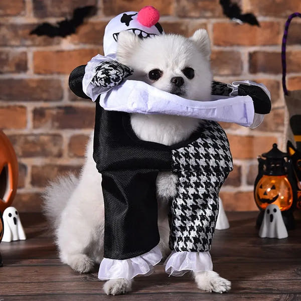 Creative Puppy Halloween Coat