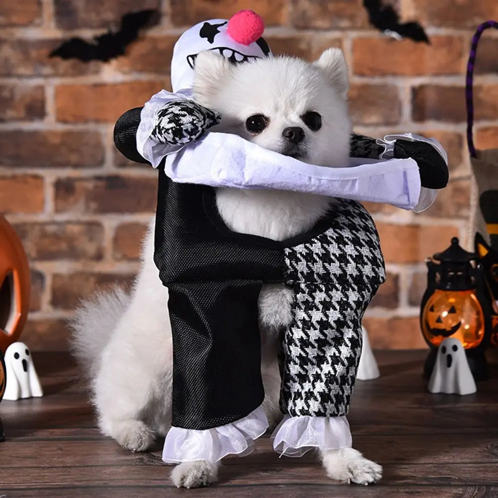 Creative Puppy Halloween Coat