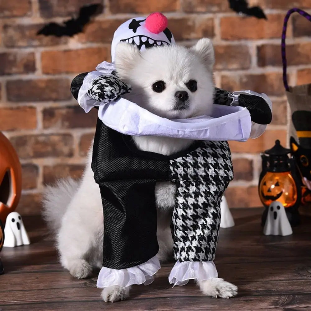 Creative Puppy Halloween Coat