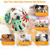 Large Squeaky Plush Dog Toy