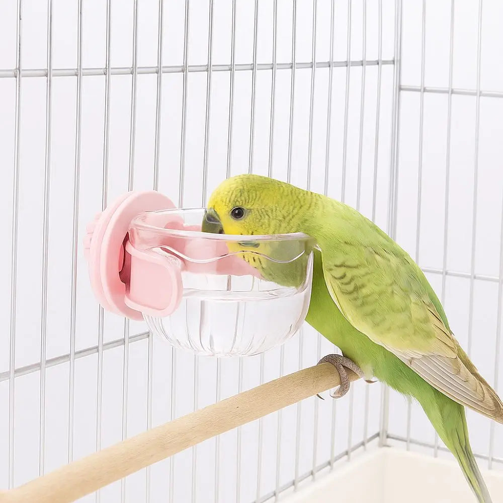 Hanging Bird Drinking Cup & Feeder Bowl