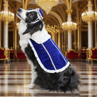 Pet Couple Costume Set (Crowns & Capes Edition)