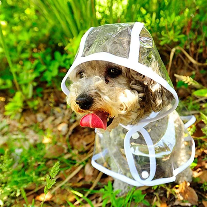 Transparent Dog Raincoat