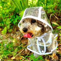 Transparent Dog Raincoat