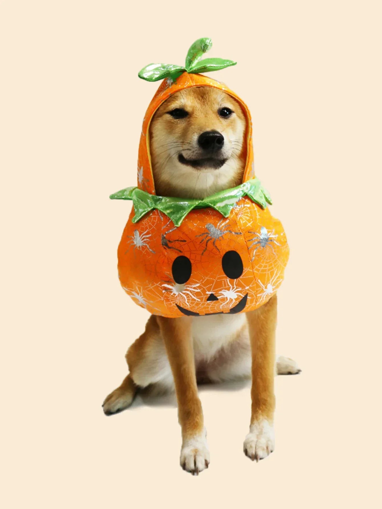 Pet Halloween Pumpkin