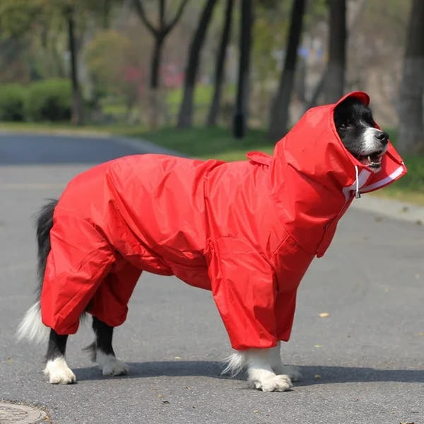 Large Dog Waterproof Hooded Jacket