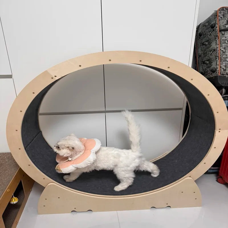 Wooden Cat Exercise Treadmill