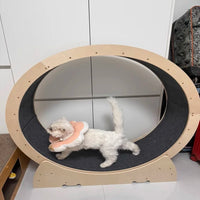 Wooden Cat Exercise Treadmill
