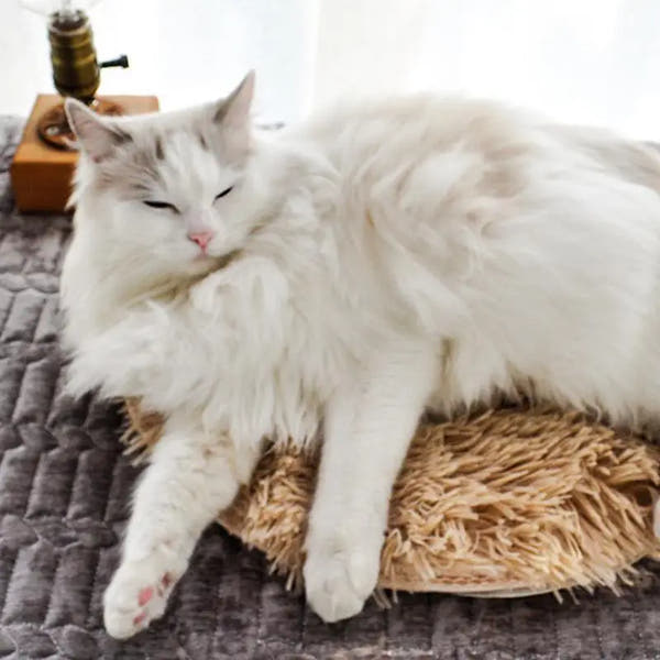 USB Heated Pet Bed