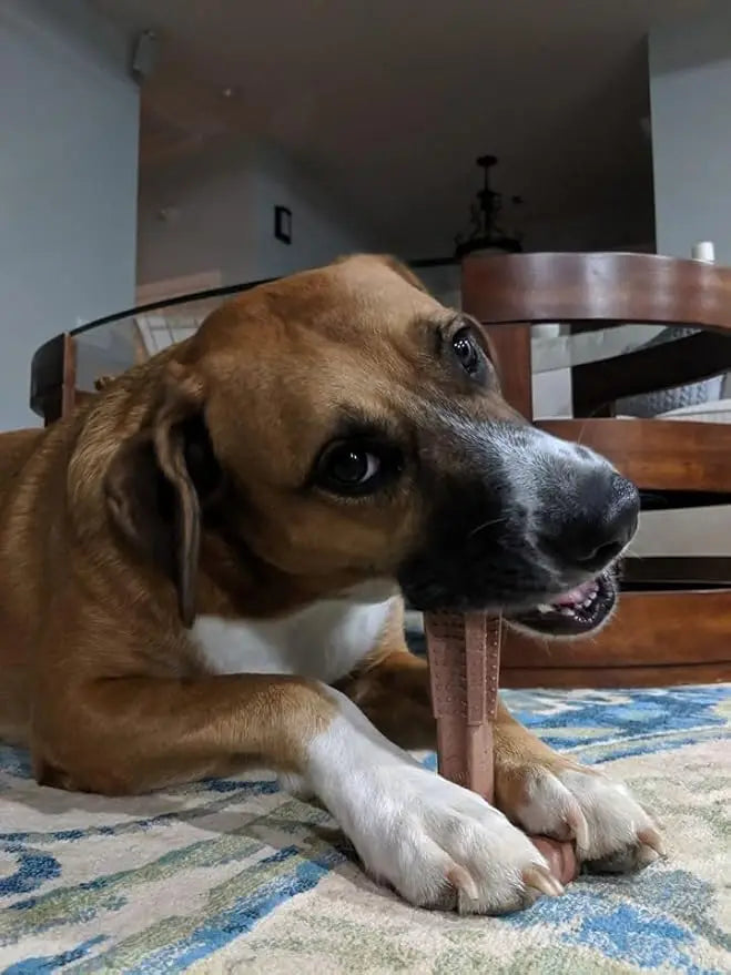 Durable Dog Chew Toy (Teeth Cleaning)